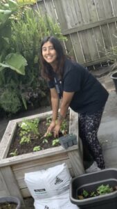 Person working in the vegetable planter box