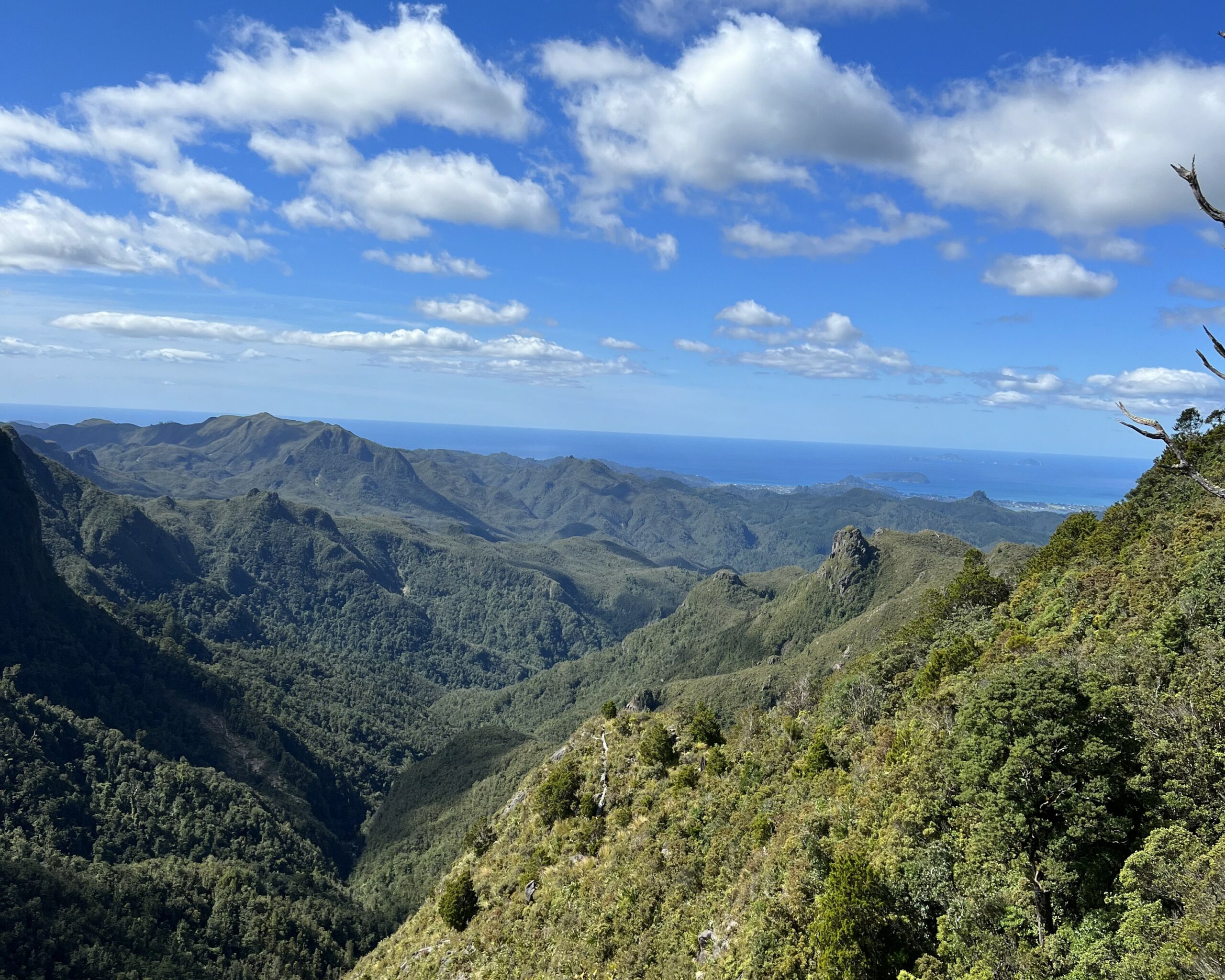 Photo of landscape in Waikato