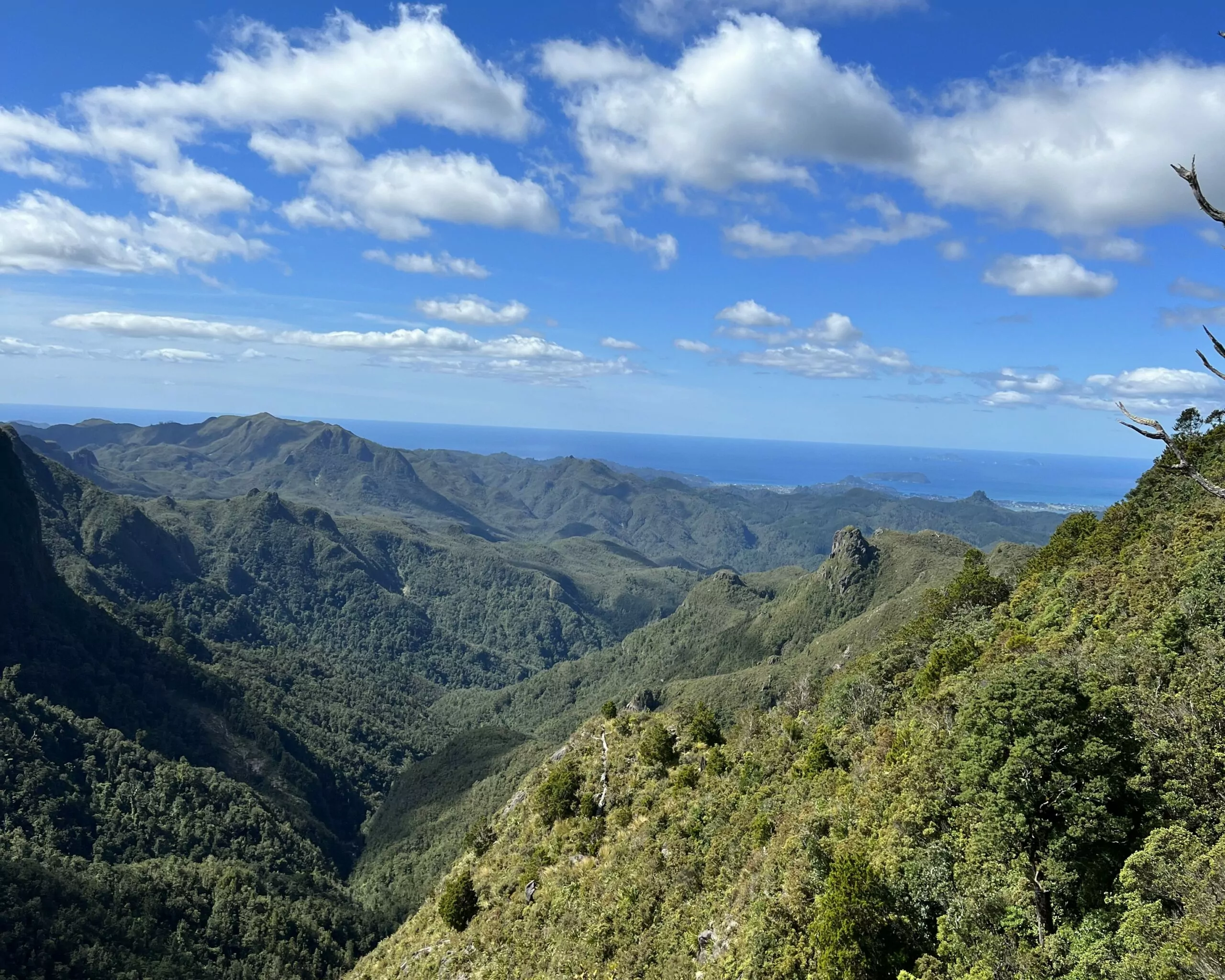 Photo of landscape in Waikato